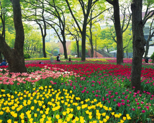 38093 (a): :1280x1024